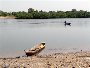 Gambia 05 Ausflug ins Saloum-Delta und zur Insel Ginack,_DSC00944b_B740